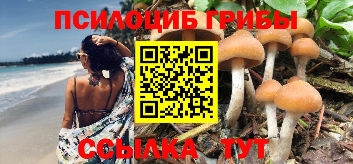 Рузаевка  Галлюциногенные грибы MAGIC MUSHROOMS  Вход с VPN 