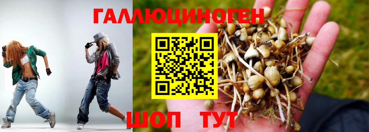 Галлюциногенные грибы ЛСД Рузаевка